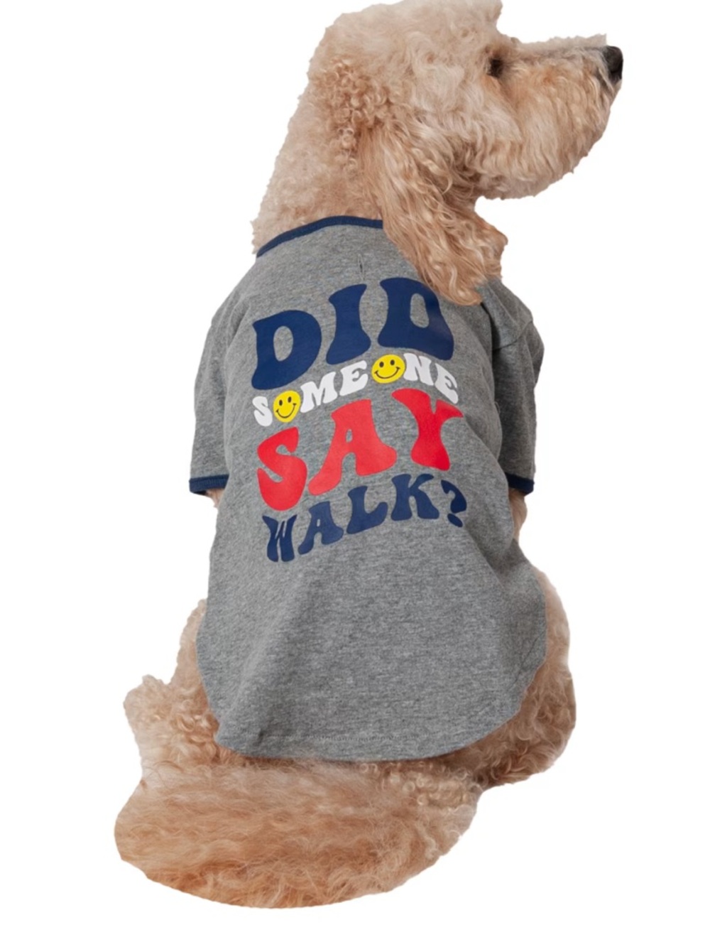 “Did someone say walk?” Dog t-shirt XS